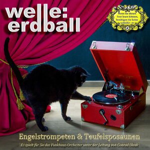 Welle:Erdball 13