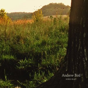 Andrew Bird 27