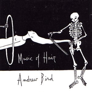 Andrew Bird 22