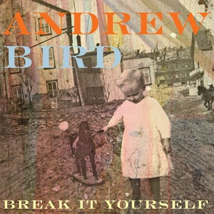 Andrew Bird 20