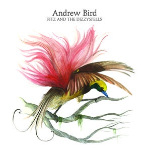 Andrew Bird 14