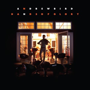 Andrew Bird 13