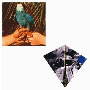 Andrew Bird 10