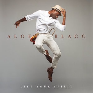 Aloe Blacc 29