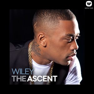 Wiley 55