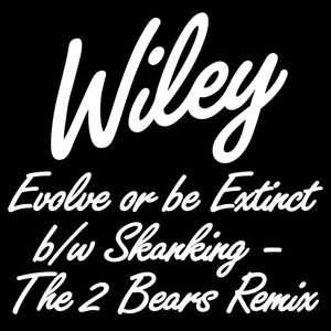 Wiley 51