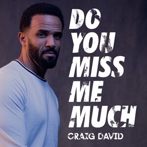 Craig David 33