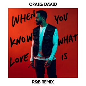 Craig David 32