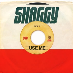 Shaggy 55