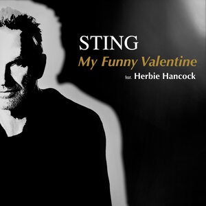 Sting 56