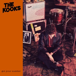 The Kooks 12