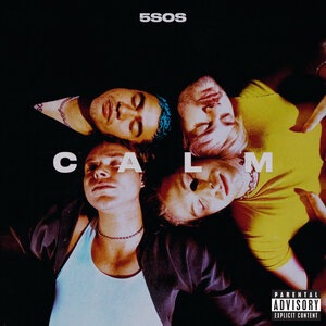 5 Seconds of Summer 18