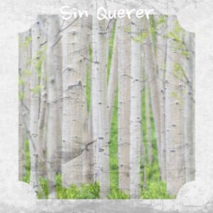 At the End of a Long Lonely Day