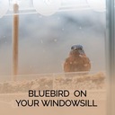 You Don't Owe Me a Thing