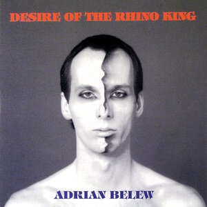 Adrian Belew 16