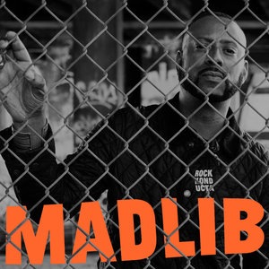 Madlib 28