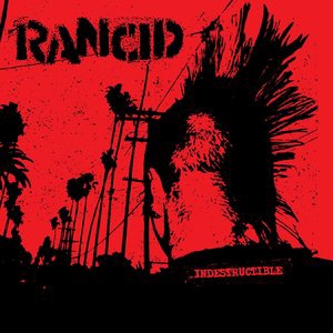 Rancid 15