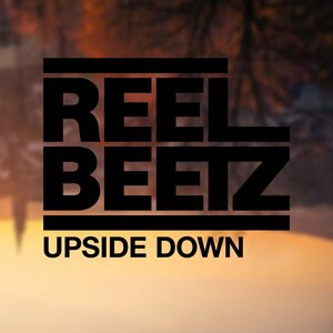 REEL BEETZ 2