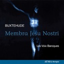 Membra Jesu nostri, BuxWV 75: VII. Ad faciem