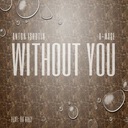 Without You