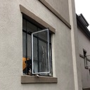 The Neighbor's Dog (Acapella)