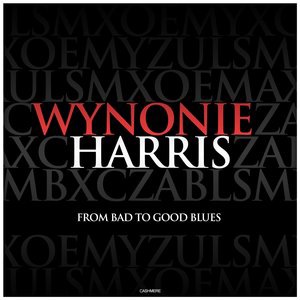 All She Wants to Do Is Rock