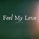 Feel My Love