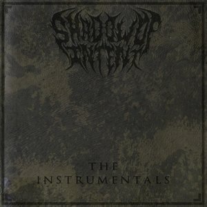 Shadow of Intent 3