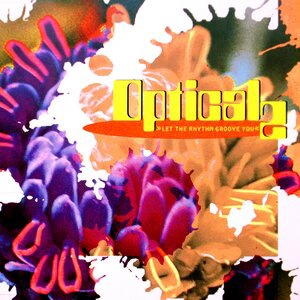 Let the Rhythm Groove You