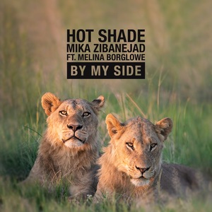Hot Shade 4