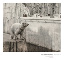 Marchal: Insight XIV