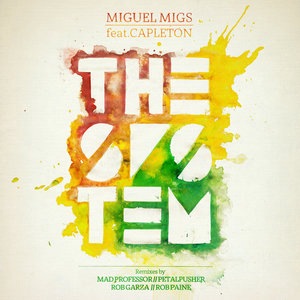 Miguel Migs 3