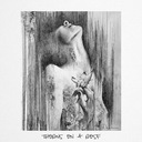 Thorns on a Rose // Roots