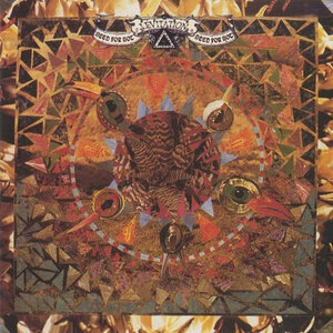 Arcs Of Light And Dew