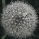 Even When Your Eyes Are Open