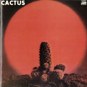 Cactus 2