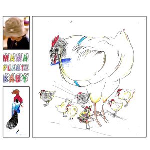 Ana Frango Elétrico 4