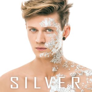 Silver 5