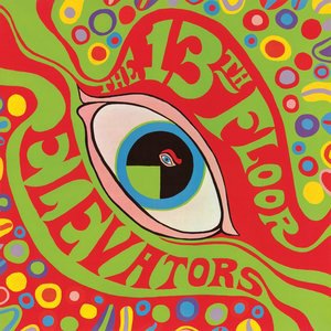 The 13th Floor Elevators 8