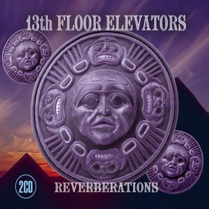 The 13th Floor Elevators 5