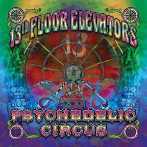 The 13th Floor Elevators 4