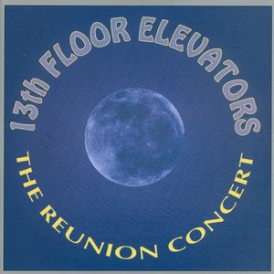 The 13th Floor Elevators 3