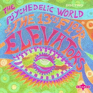 The 13th Floor Elevators 2