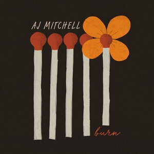 AJ Mitchell 13