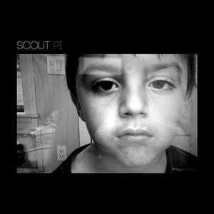 scout 3