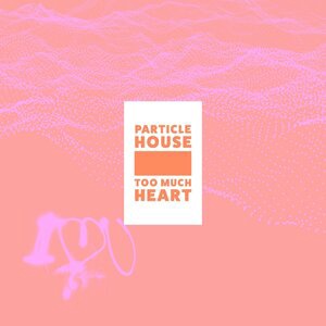 Particle House 2