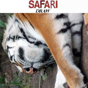 Safari 4