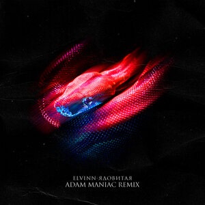 Adam Maniac 7