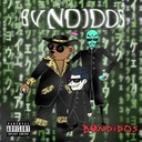 BVNDIDOS