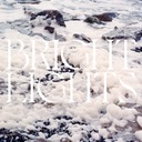 Bright Lights